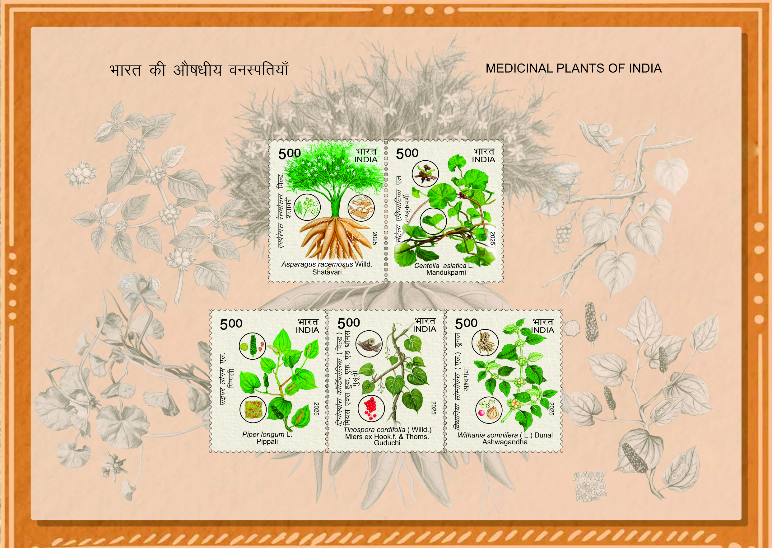 Medicinal plants of India (Miniature sheet - set of 5 stamps) postage stamp